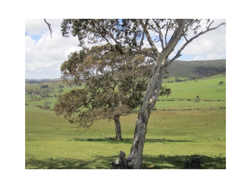 Lot 56, Lot 56 Parawa Road, Torrens Vale SA 5203