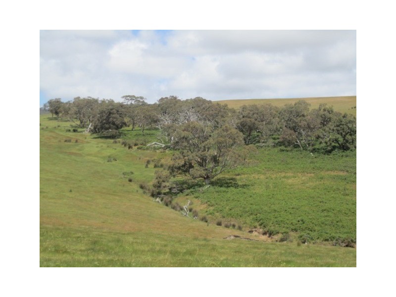 Lot 56, Lot 56 Parawa Road, Torrens Vale SA 5203