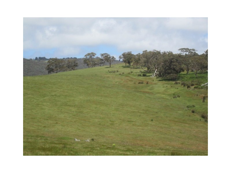 Lot 56, Lot 56 Parawa Road, Torrens Vale SA 5203