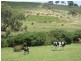 Lot 56, Lot 56 Parawa Road, Torrens Vale SA 5203