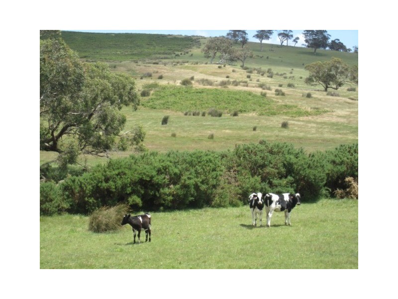 Lot 56, Lot 56 Parawa Road, Torrens Vale SA 5203