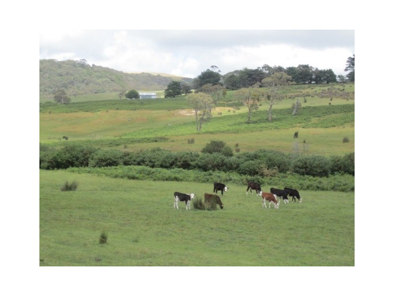 Lot 56, Lot 56 Parawa Road, Torrens Vale SA 5203