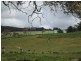 Lot 56, Lot 56 Parawa Road, Torrens Vale SA 5203
