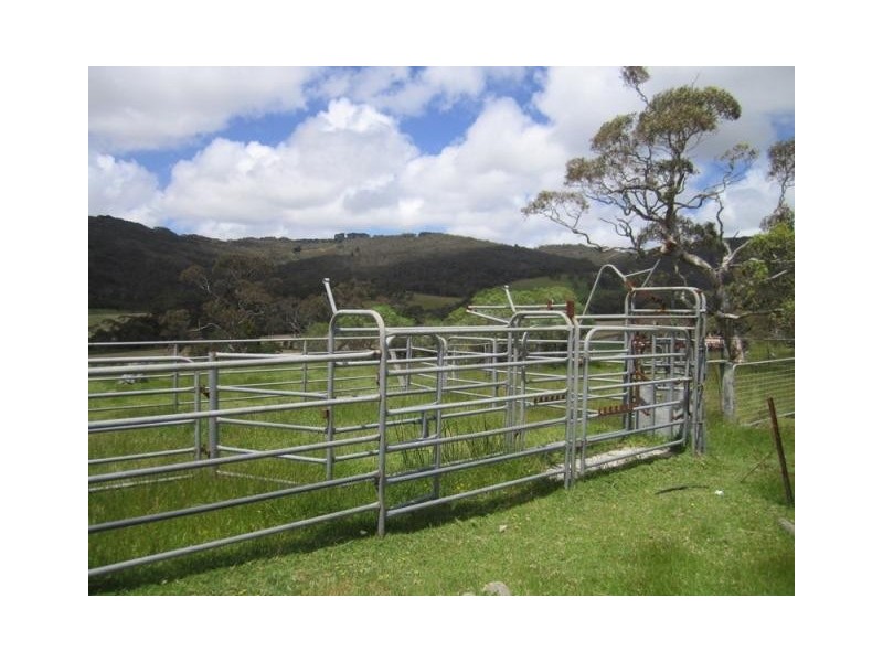 Lot 56, Lot 56 Parawa Road, Torrens Vale SA 5203