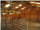 Lot 56, Lot 56 Parawa Road, Torrens Vale SA 5203
