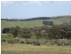 Lot 56, Lot 56 Parawa Road, Torrens Vale SA 5203