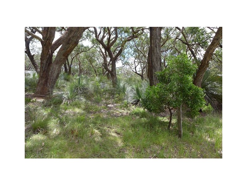 Lot 7, Lot 7 Rarkang Road, Silverton SA 5204