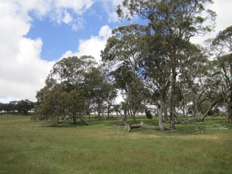 296 Parawa Road, Torrens Vale SA 5203