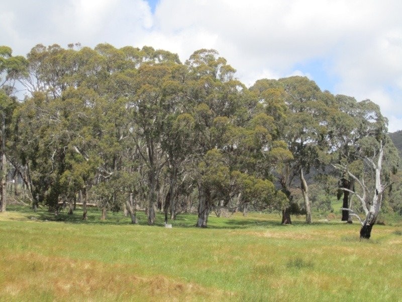 296 Parawa Road, Torrens Vale SA 5203