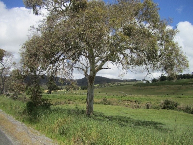 296 Parawa Road, Torrens Vale SA 5203