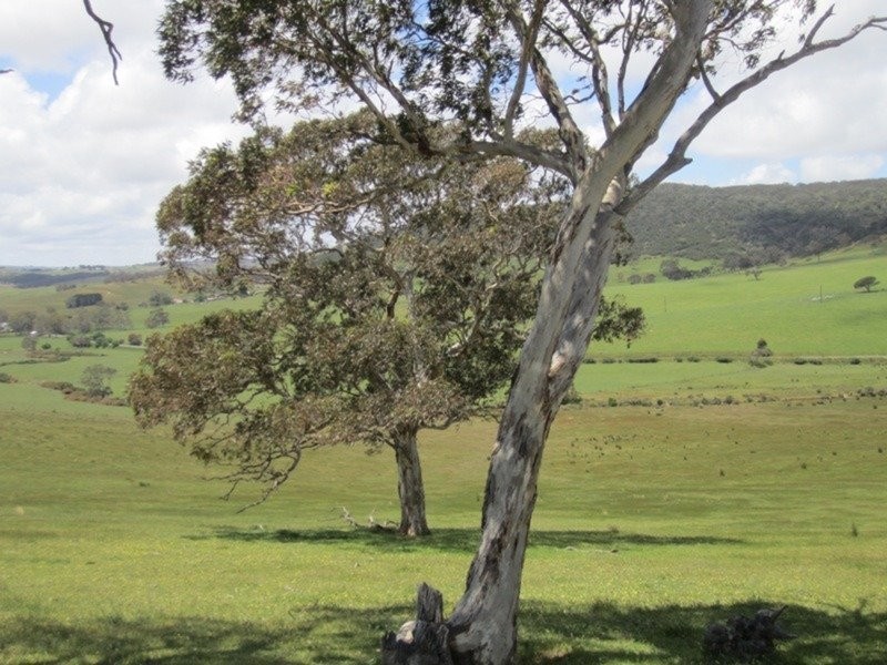 296 Parawa Road, Torrens Vale SA 5203