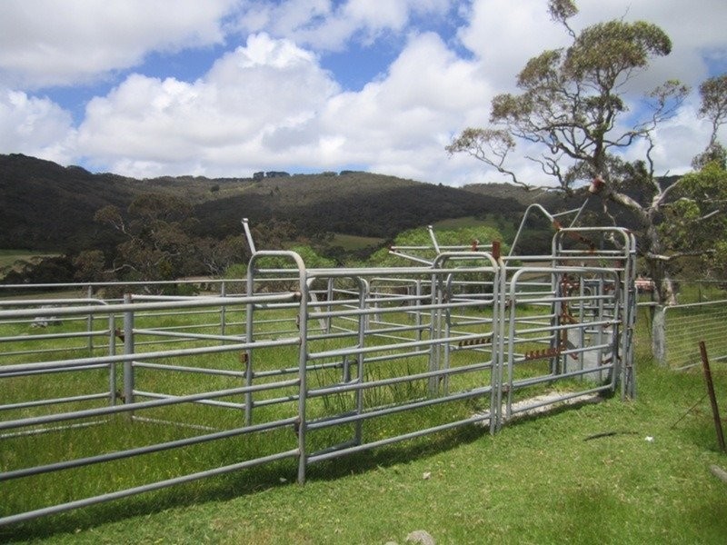 296 Parawa Road, Torrens Vale SA 5203