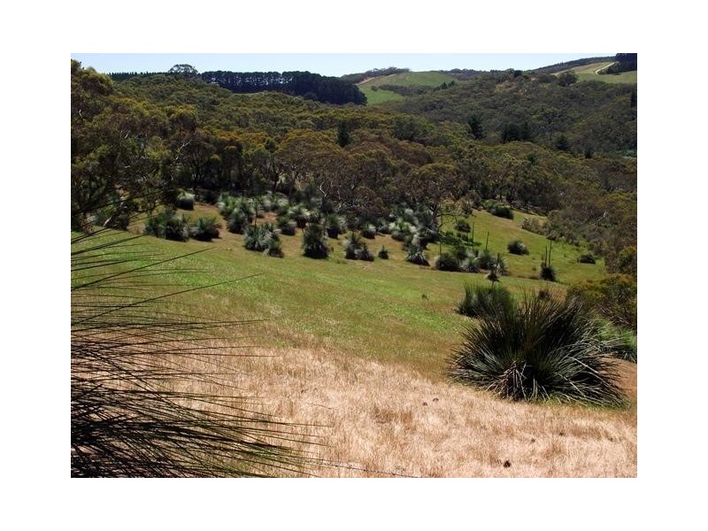 Lot 1 Tunk Head Road, Tunkalilla SA 5203