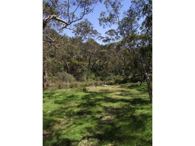 Lot 1 Tunk Head Road, Tunkalilla SA 5203