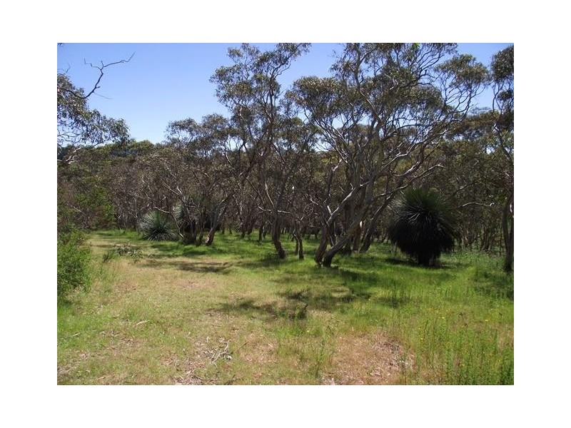 Lot 1 Tunk Head Road, Tunkalilla SA 5203
