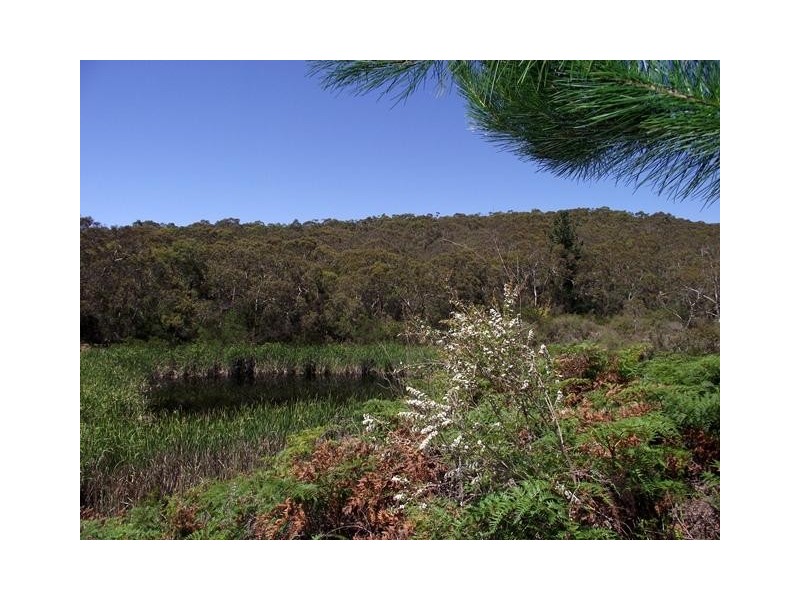 Lot 1 Tunk Head Road, Tunkalilla SA 5203