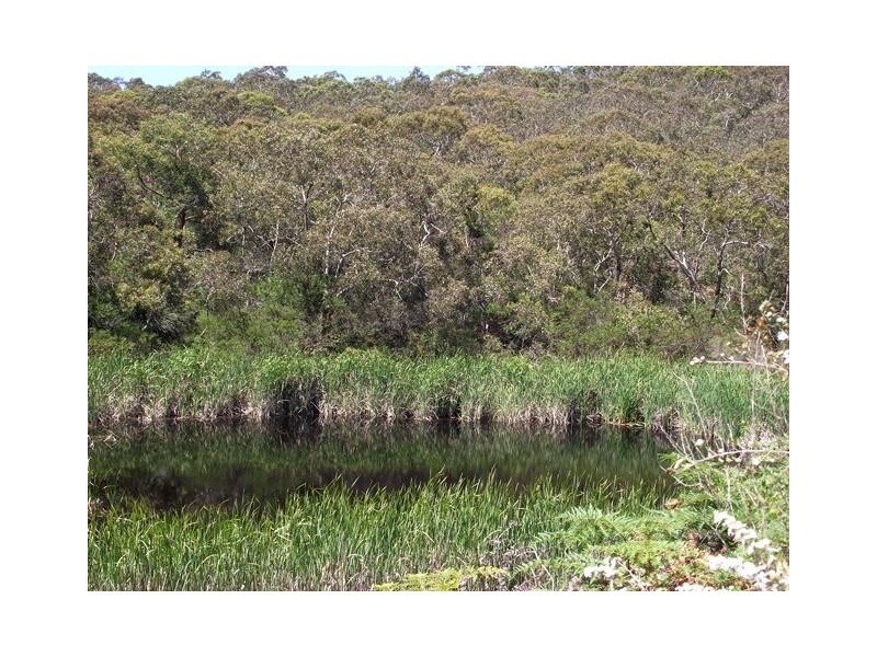 Lot 1 Tunk Head Road, Tunkalilla SA 5203