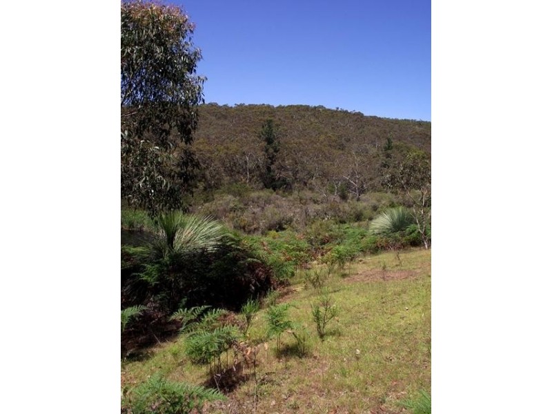 Lot 1 Tunk Head Road, Tunkalilla SA 5203