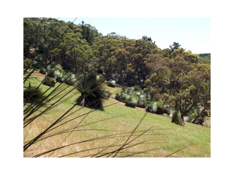 Lot 1 Tunk Head Road, Tunkalilla SA 5203