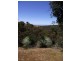Lot 1 Tunk Head Road, Tunkalilla SA 5203