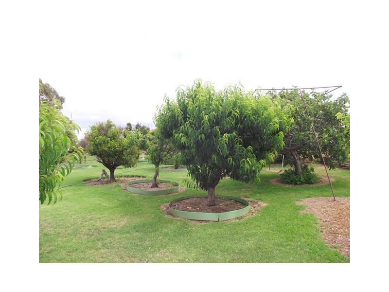 Lot 511, 51 Norman Avenue, Normanville SA 5204