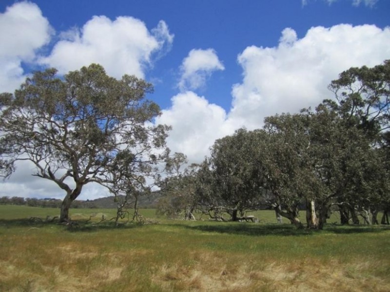 Lot 101 Blacker Road, Torrens Vale SA 5203