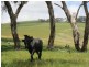 Lot 101 Blacker Road, Torrens Vale SA 5203