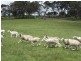Lot 101 Blacker Road, Torrens Vale SA 5203