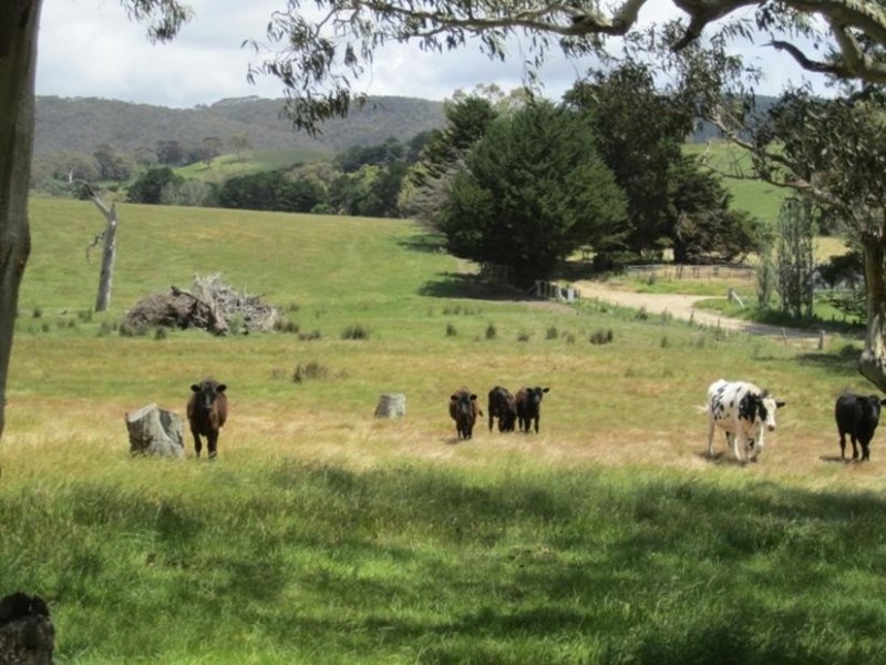 Lot 101 Blacker Road, Torrens Vale SA 5203