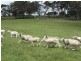 Lot 101 Blacker Road, Torrens Vale SA 5203