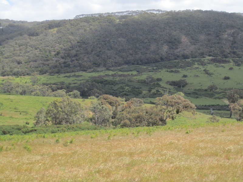 Pieces 52-55 Parawa Road, Torrens Vale SA 5203