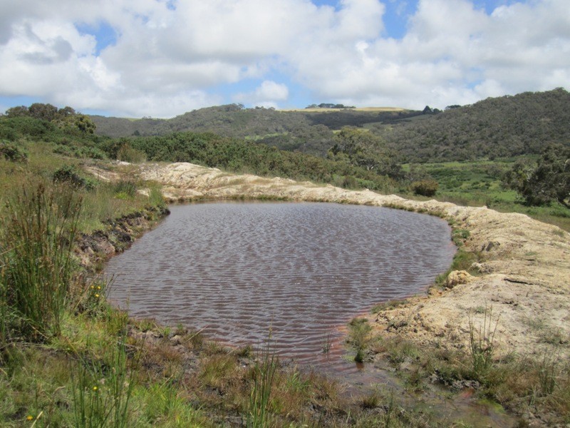 Pieces 52-55 Parawa Road, Torrens Vale SA 5203