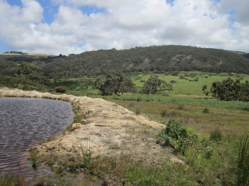 Pieces 52-55 Parawa Road, Torrens Vale SA 5203