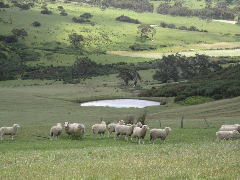 Pieces 52-55 Parawa Road, Torrens Vale SA 5203