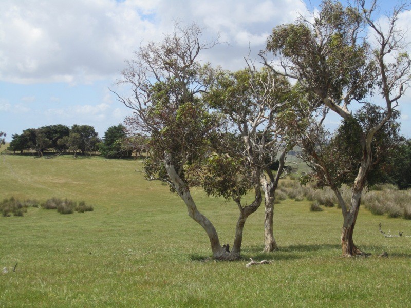 Pieces 52-55 Parawa Road, Torrens Vale SA 5203