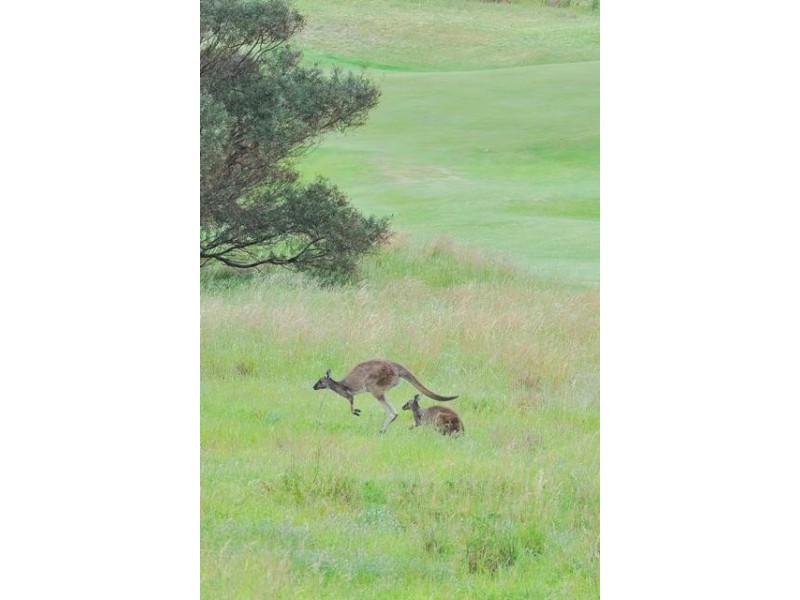 Lot 11, 22 Huntingdale Drive, Normanville SA 5204