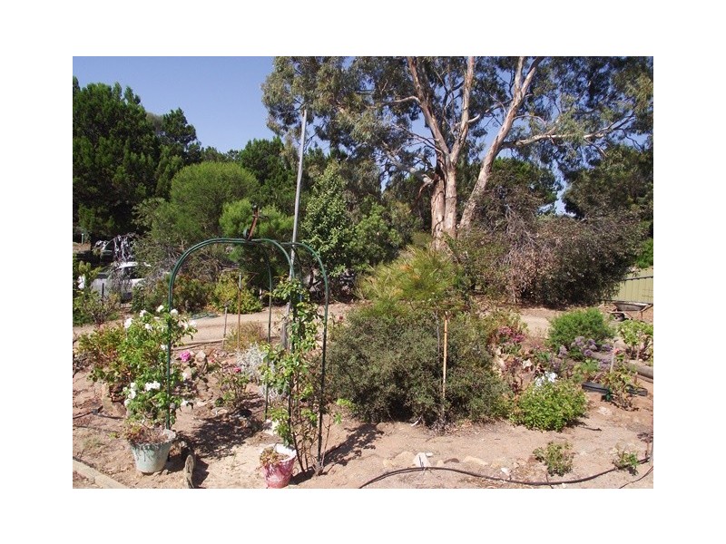 6 Clarke Street, Normanville SA 5204