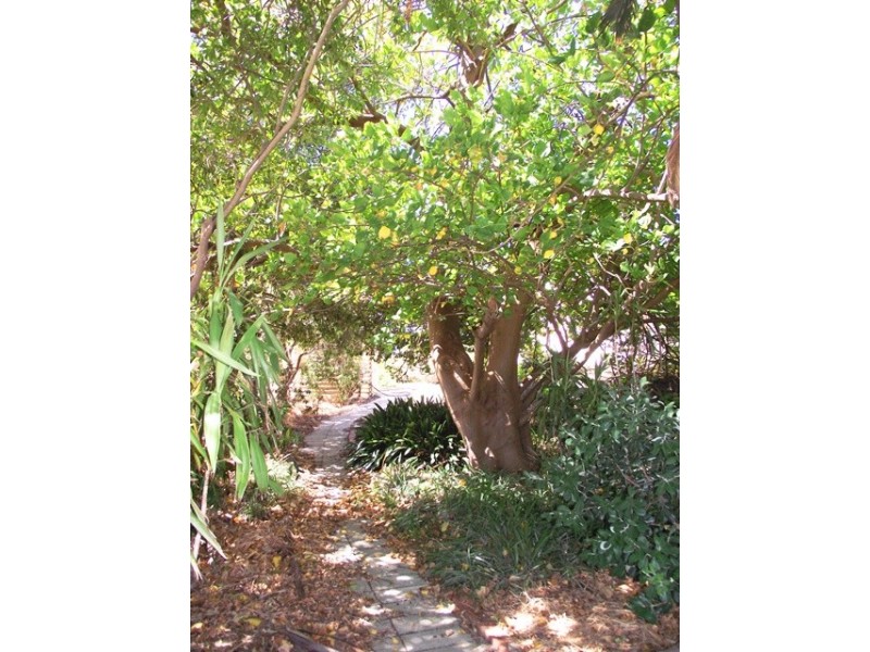 8 Barunga Street, Yankalilla SA 5203