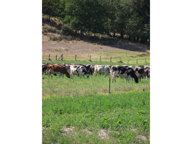 3A Wallman Street, Yankalilla SA 5203