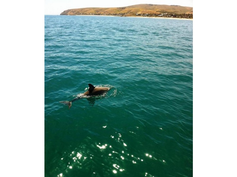 Lot 99, 8 Sunrise Court, Wirrina Cove SA 5204