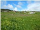 Lot 133 Turnberry Drive, Normanville SA 5204