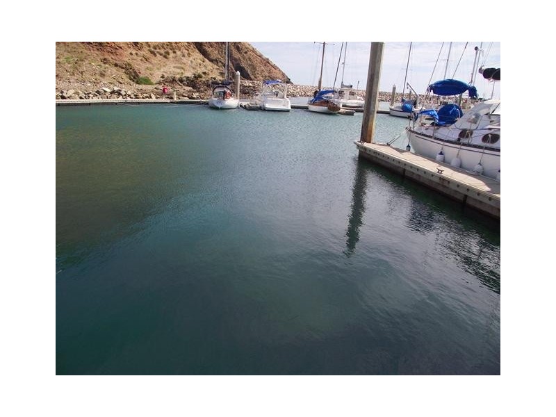 Berth D48 Marina Avenue, Wirrina Cove SA 5204
