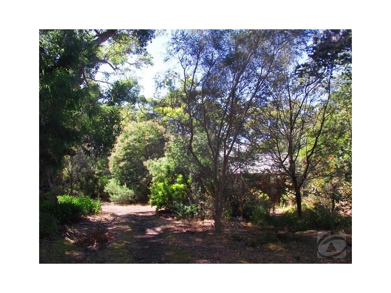 Lot 8 and 9, 83 Rarkang Rd, Silverton SA 5204