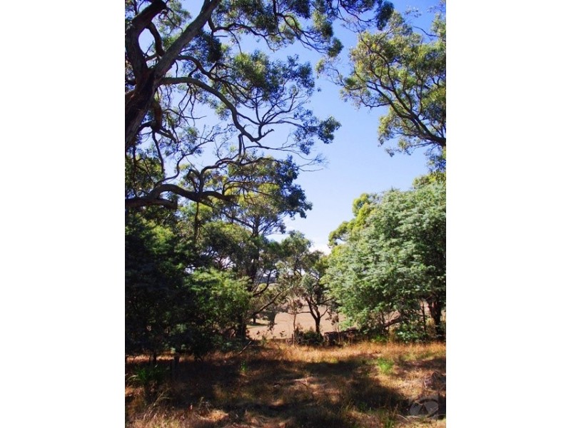 Lot 8 and 9, 83 Rarkang Rd, Silverton SA 5204