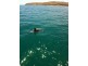 Berth C46 Marina Avenue, Wirrina Cove SA 5204