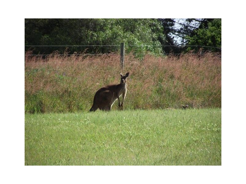 Lot 6, 12 Huntingdale Dr, Normanville SA 5204