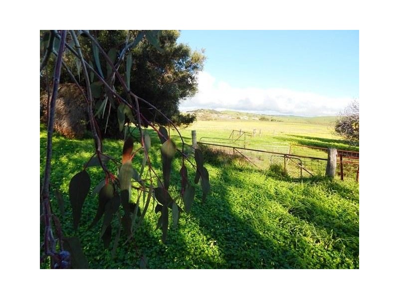 Lot 126, 24 Union Road, Normanville SA 5204
