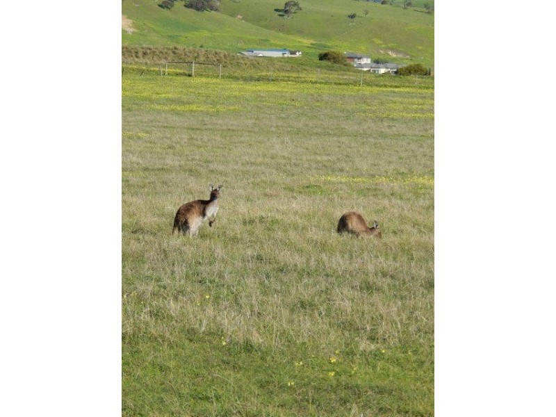 Lot 110, 13 Henry Court, Normanville SA 5204