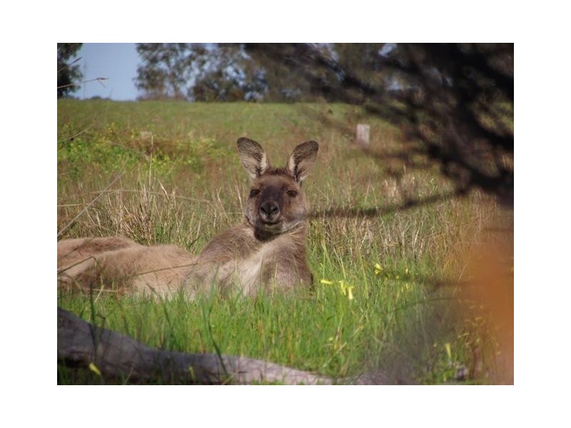 Lot 92, 30 St Andrews Boulevard, Normanville SA 5204