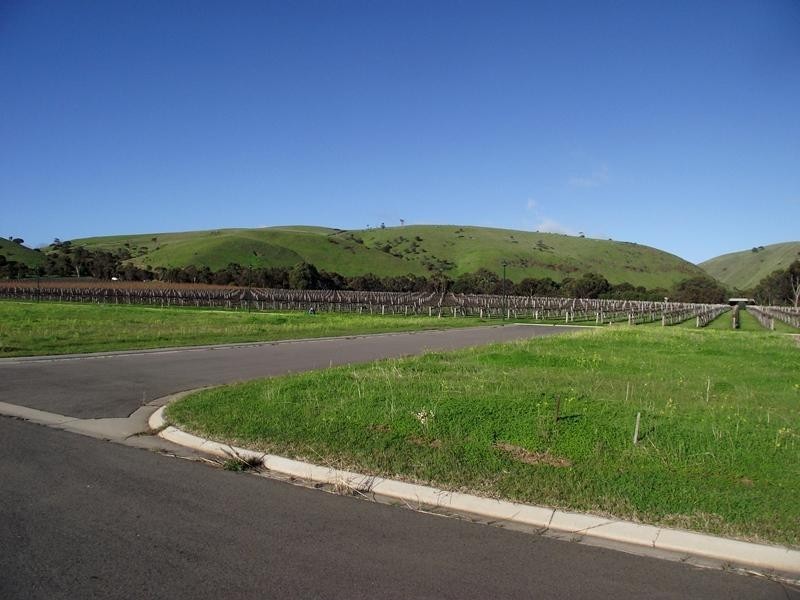 Lot 263 The Vines Drive, Normanville SA 5204
